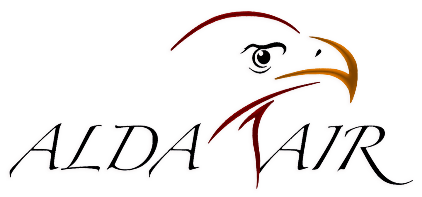 PT. ALDA TRANS PAPUA logo